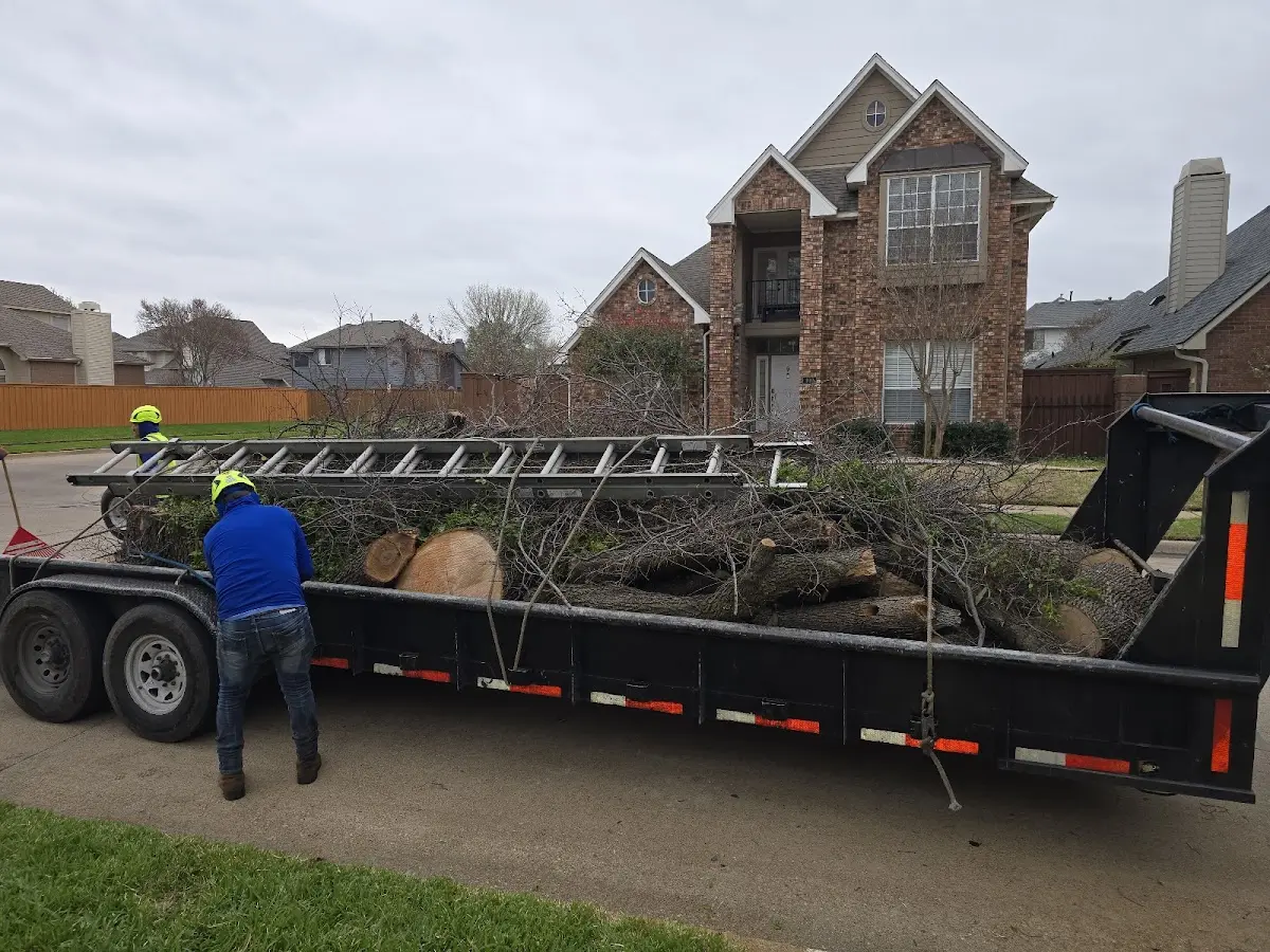 Expert Tree Fertilization with proper safety equipment in Winona